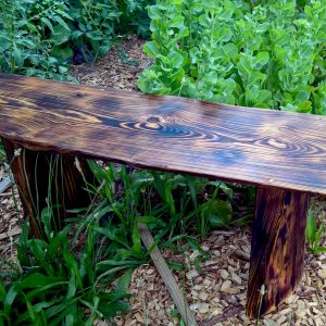 Local Georgia 70 Year Heart Pine Live Edge Bench