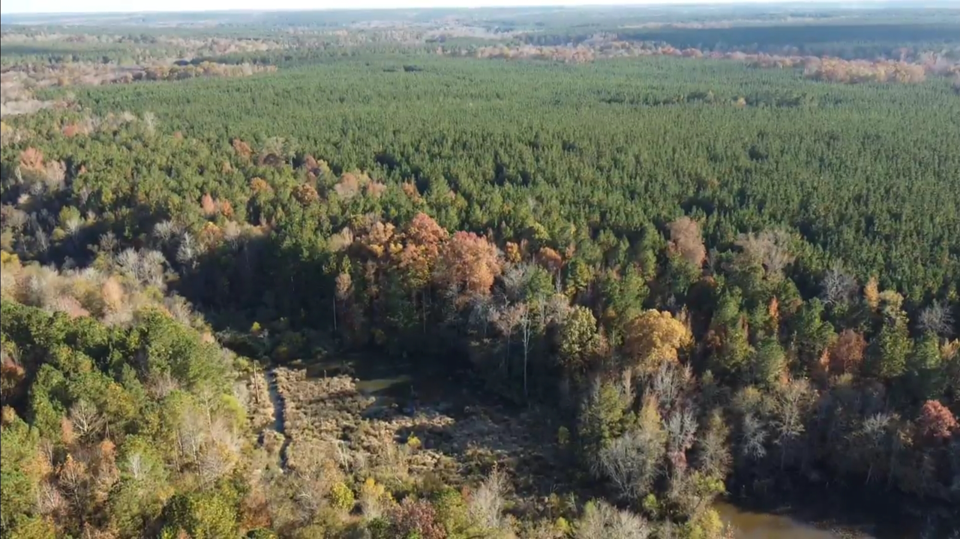 205.4 acres of diverse landscape Freedom Village Georgia