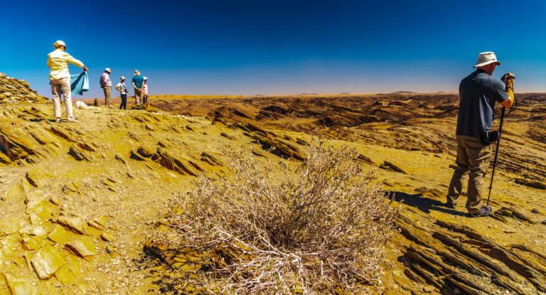 Namibia Set to Further Reform Policies to Curb White Farm Ownership, in South Africa’s Footsteps