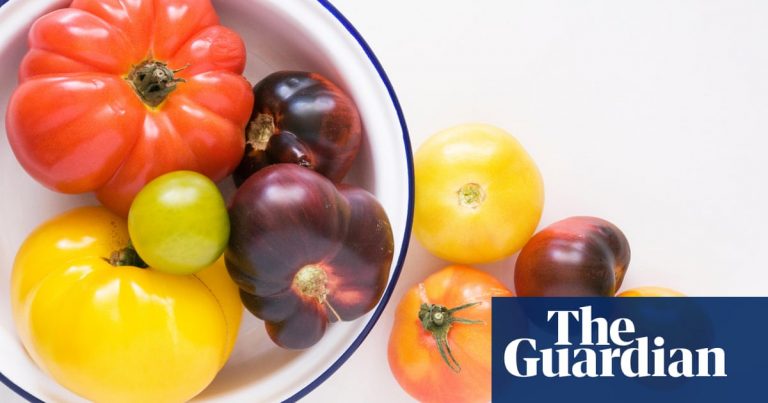 ‘The real jewels of the plant kingdom’: growing heirloom tomatoes